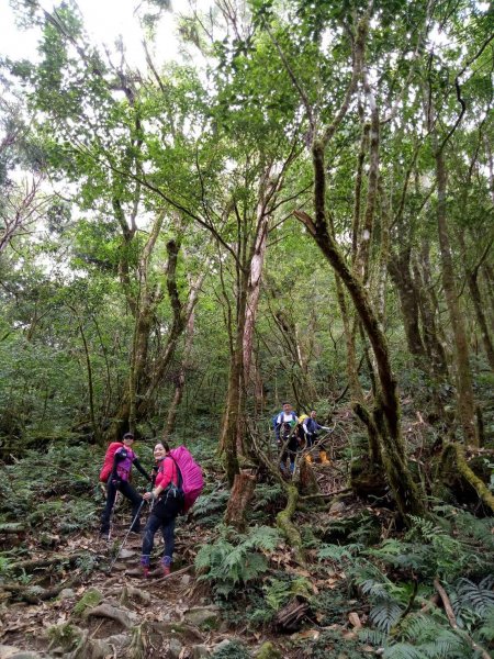 宜蘭 四季 加羅湖634169