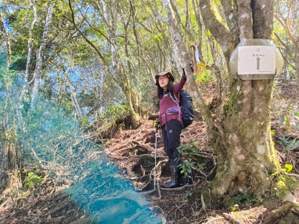 高島縱走202502152713774