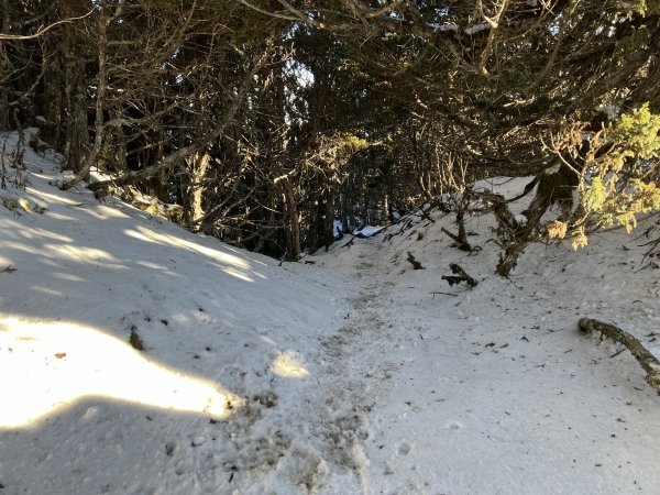 【駒盆西稜上馬博下嘆息灣D2】駒盆谷、積雪馬博拉斯山2443779