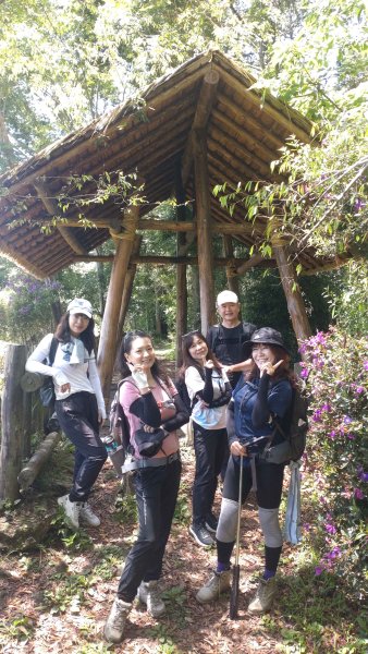 20250510福山古道隴頂步道健行:2791501