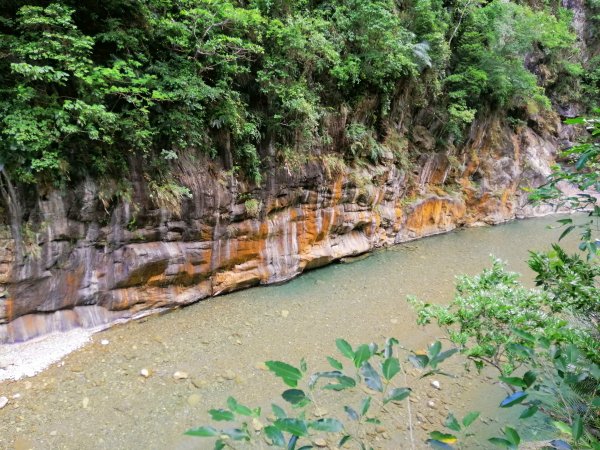 花蓮秀林~峻秀峽谷山水石壁畫~砂卡礑步道1039793