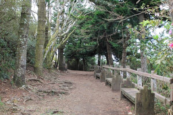 馬那邦山(珠湖線來回)375057