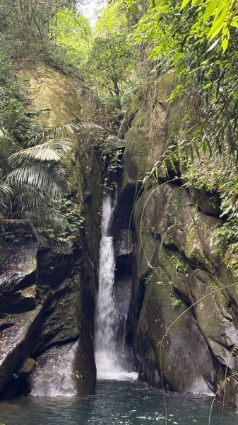 戲水（鴛鴦2786748