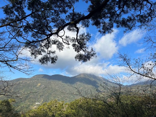 幸福五感森林癒2694320