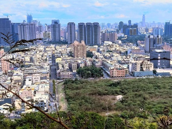 柴山之美~2934544