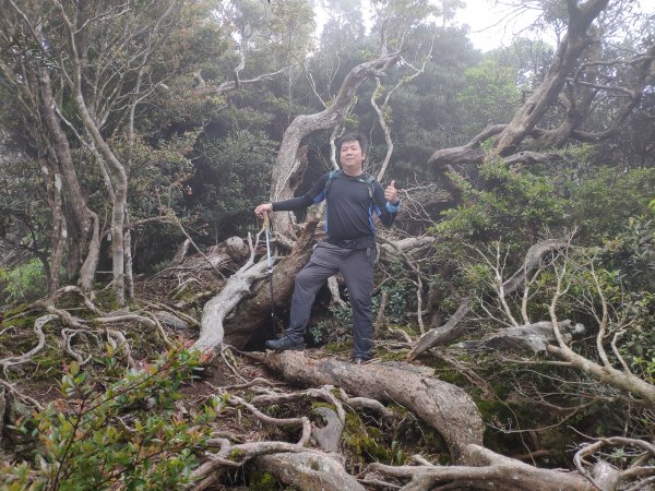 石可見山和著地螺留山666044