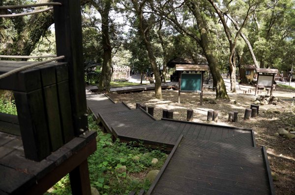 大坑1號步道2865252