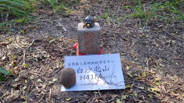 [苗栗]白虎縱走 | 白沙屯 - 通霄2737042