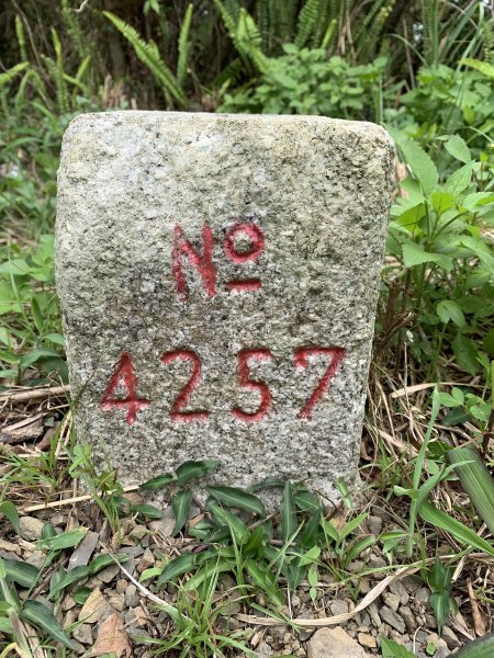 20250621屏東巴士墨山-草埔後山2821410