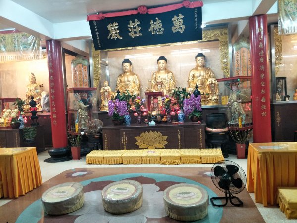 小百岳9：劍潭山1299835