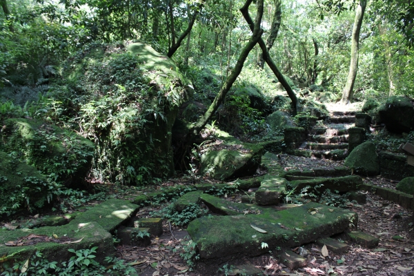 20160502台灣台北陽明山金包里步道公開90680