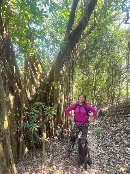 高雄美濃月光山2734924