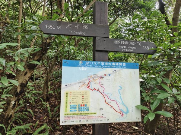 林口太平與南灣頭濱海步道2835288