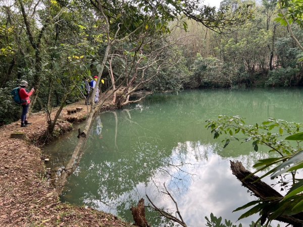 2025-01232淡蘭古道北二段(燦光寮古道到澳底)2696694