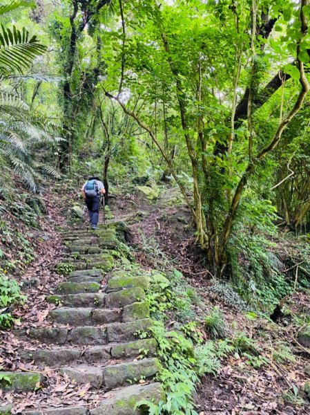 1100911嘉義獨立山步道（加映森鐵）1457522