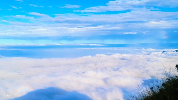 阿里山 #隙頂二延平 #頂石棹 #觀音圈 #雲海 #琉璃光 #雲瀑 #霧虹 11/172649780