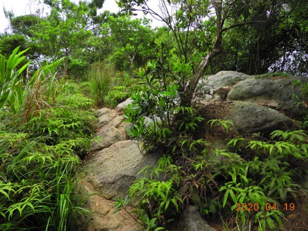 臺北 內湖 龍船岩、開眼山924809