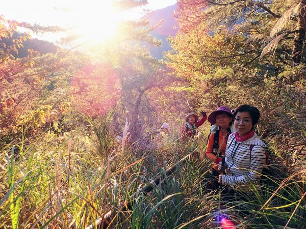 合歡越嶺古道登卯木山1174891