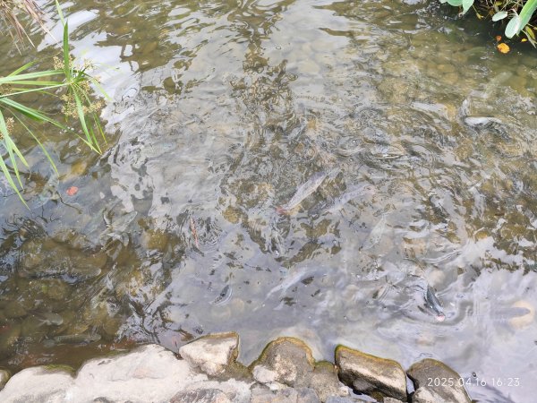 宏匯瑞光廣場、大港墘公園、至誠公園、師大公園2763875