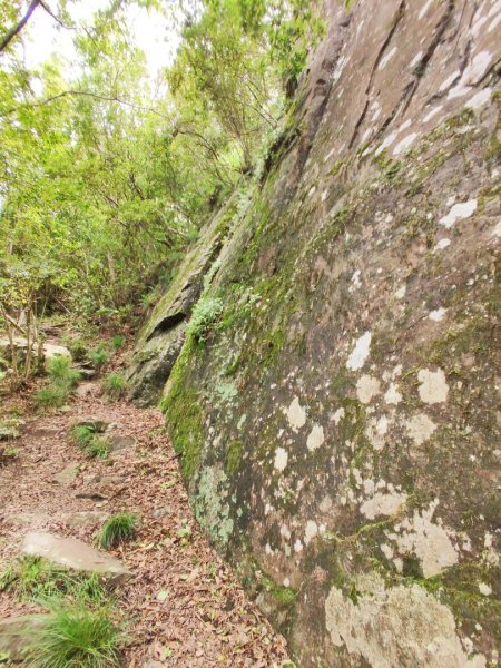 2025/6/14 橫龍山2839237