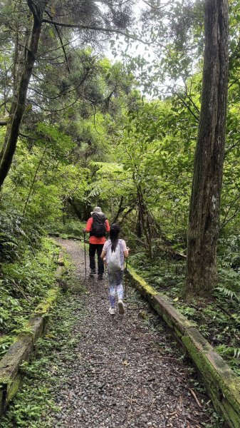 20250708 四堵古道2837747