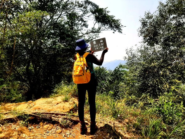 走進獅尾的褶皺｜猿山步道，一場與山靈的私密對話