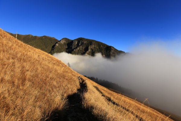 雪山‧甘木林山1250011