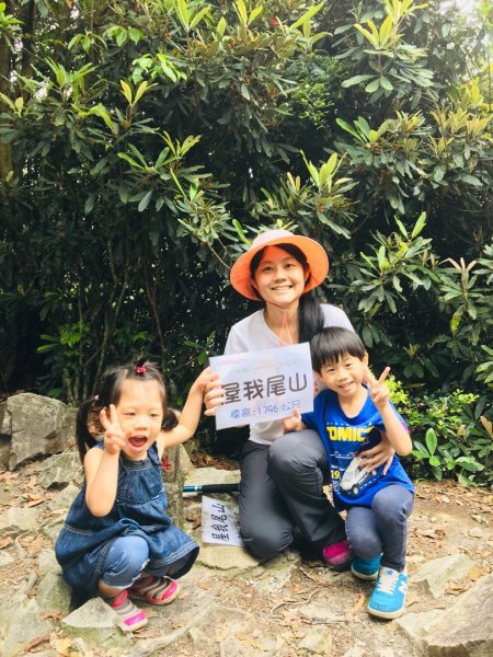 20190616貓仔們第一隻熊屋我尾山封面
