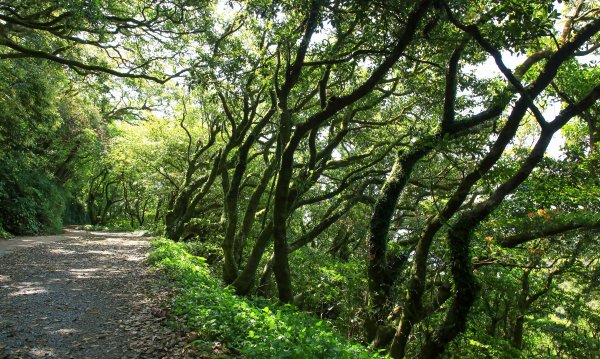 陽明山國家公園小放鬆916910