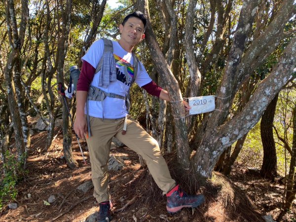 長壽山-醜崠山-鳶嘴山【既優雅又狂野的另類選擇】2673966