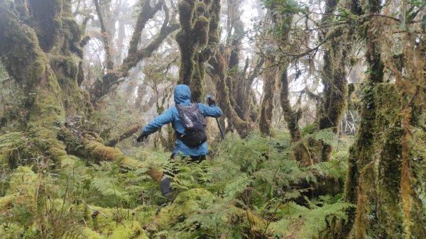 茶仁山單攻2025年4月4日2753333