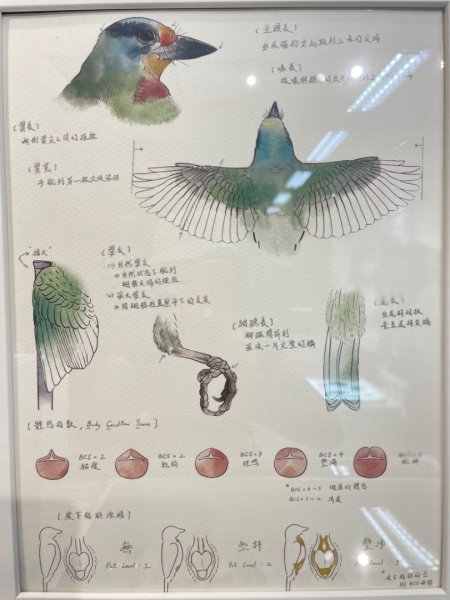 雨天備案💙 台灣博物館的古生代館-台大動植物館免費參觀-北投♨️季2807513