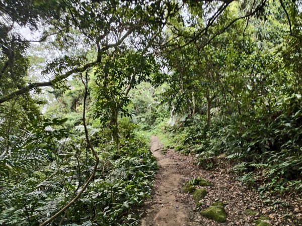 [百山百鳥尋旅-10/15] 2025_0920 溪洲山步道(福山巖登山步道)2893140