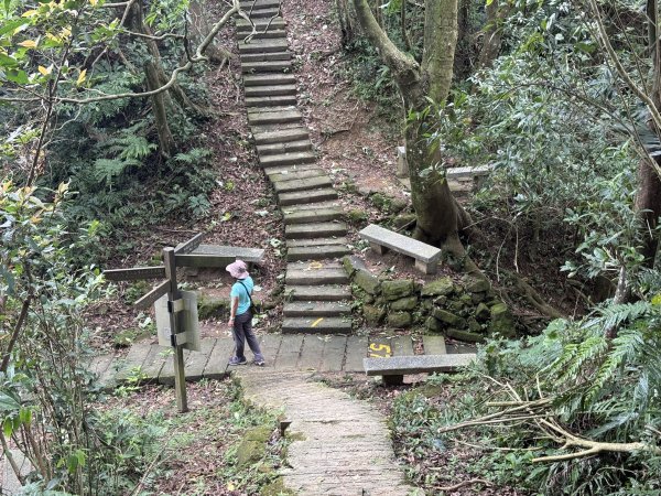 天上山+大棟山 2025.07.202864427