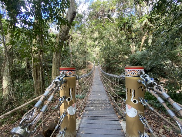 《雪山坑登山步道｜巨人之手森林秘境 Xueshankeng Hiking Trail & Giant2971107
