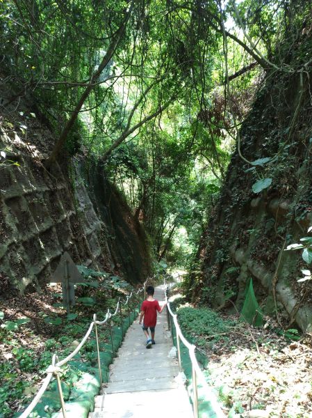 松柏登廟步道376425