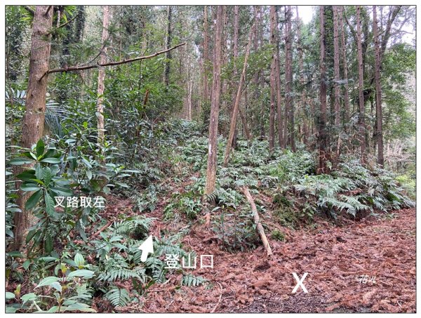 南庄山 (苗栗、南庄)2734578