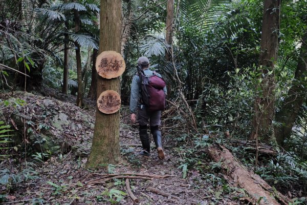 新竹尖石鄉 小錦屏溫泉上錦屏山下高島逆走O1650557