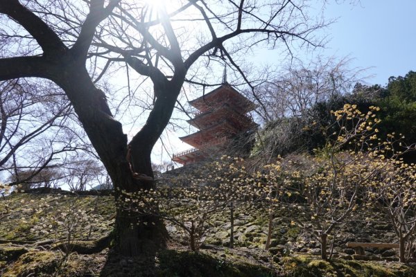 熊野古道小邊路.熊野三山2485535