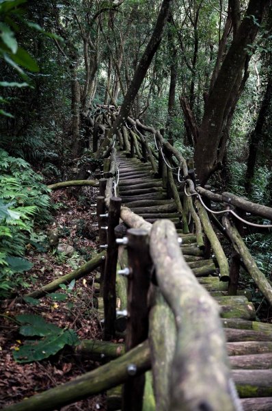 大坑1號步道2865264