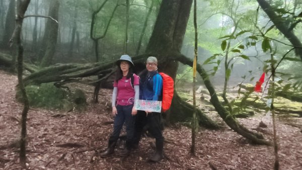 觀雪縱走~大園登山協會2828723