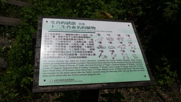 朝陽國家步道登山健行趣(郊山)1565111