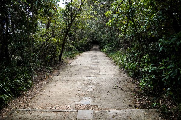 劍潭山小百岳｜老地方觀機平台2886016