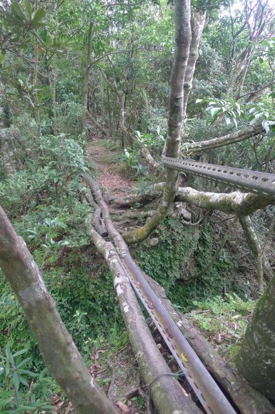 志繼山、東眼山、拉卡山O型環走401764