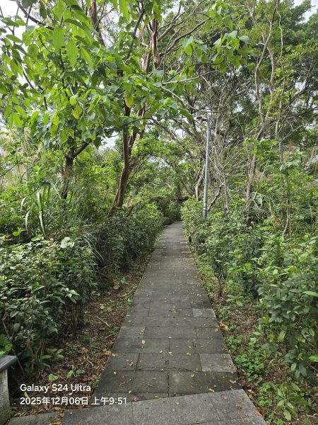 2025-12-06微笑山線：【二格山系】和美山螢火蟲段2956822