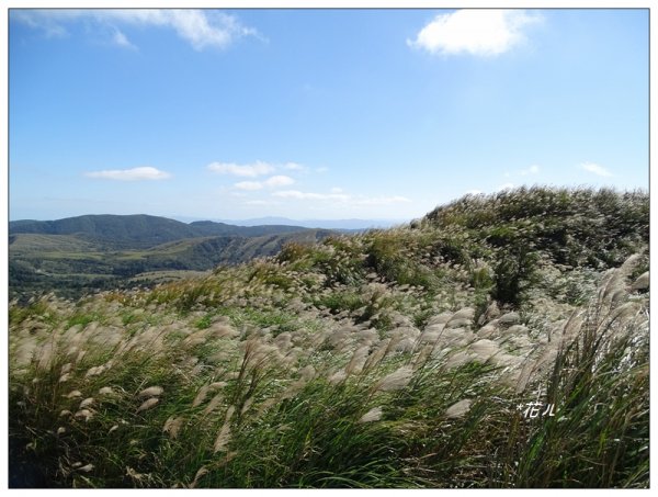 七星山連峰/芒花738701