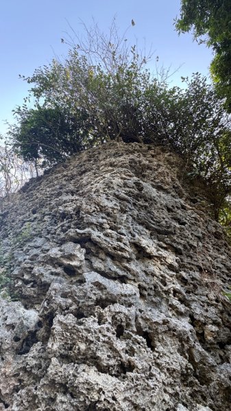 尋仙、鑽洞、啖肥雞3002762