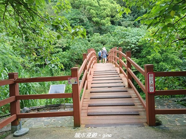 【花蓮】 楓林步道好視野x撒固兒步道、撒固兒瀑布超沁涼2247897