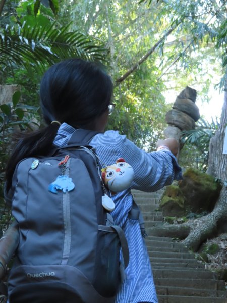 豐原三崁頂健康步道3上2下O形2696144