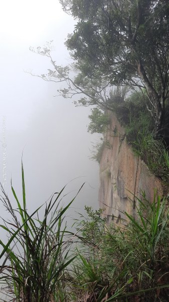 《雲林》望好望角｜石壁山嘉南雲峰步道(中側登山口）202506072805411